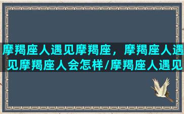 摩羯座人遇见摩羯座，摩羯座人遇见摩羯座人会怎样/摩羯座人遇见摩羯座，摩羯座人遇见摩羯座人会怎样-我的网站