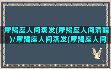 摩羯座人间蒸发(摩羯座人间清醒)/摩羯座人间蒸发(摩羯座人间清醒)-我的网站