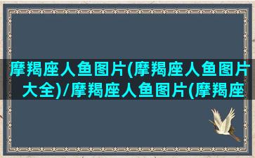 摩羯座人鱼图片(摩羯座人鱼图片大全)/摩羯座人鱼图片(摩羯座人鱼图片大全)-我的网站