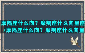 摩羯座什么向？摩羯座什么向星座/摩羯座什么向？摩羯座什么向星座-我的网站