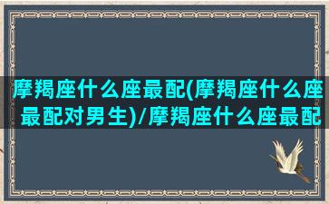 摩羯座什么座最配(摩羯座什么座最配对男生)/摩羯座什么座最配(摩羯座什么座最配对男生)-我的网站