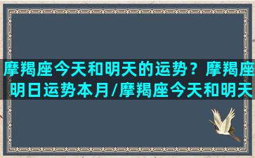 摩羯座今天和明天的运势？摩羯座明日运势本月/摩羯座今天和明天的运势？摩羯座明日运势本月-我的网站