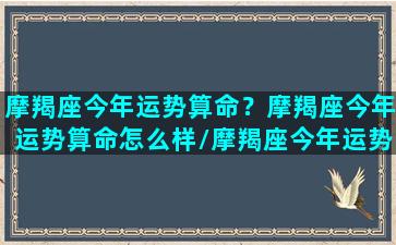 摩羯座今年运势算命？摩羯座今年运势算命怎么样/摩羯座今年运势算命？摩羯座今年运势算命怎么样-我的网站