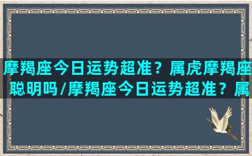 摩羯座今日运势超准？属虎摩羯座聪明吗/摩羯座今日运势超准？属虎摩羯座聪明吗-我的网站