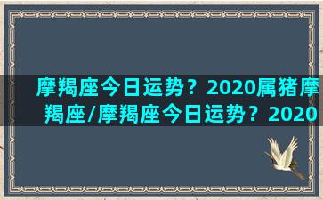 摩羯座今日运势？2020属猪摩羯座/摩羯座今日运势？2020属猪摩羯座-我的网站