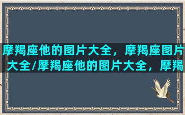 摩羯座他的图片大全，摩羯座图片大全/摩羯座他的图片大全，摩羯座图片大全-我的网站