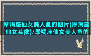 摩羯座仙女美人鱼的图片(摩羯座仙女头像)/摩羯座仙女美人鱼的图片(摩羯座仙女头像)-我的网站