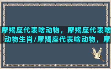 摩羯座代表啥动物，摩羯座代表啥动物生肖/摩羯座代表啥动物，摩羯座代表啥动物生肖-我的网站