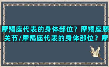 摩羯座代表的身体部位？摩羯座膝关节/摩羯座代表的身体部位？摩羯座膝关节-我的网站