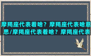 摩羯座代表着啥？摩羯座代表啥意思/摩羯座代表着啥？摩羯座代表啥意思-我的网站