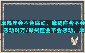 摩羯座会不会感动，摩羯座会不会感动对方/摩羯座会不会感动，摩羯座会不会感动对方-我的网站