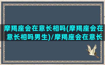 摩羯座会在意长相吗(摩羯座会在意长相吗男生)/摩羯座会在意长相吗(摩羯座会在意长相吗男生)-我的网站