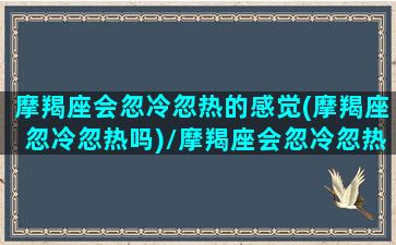 摩羯座会忽冷忽热的感觉(摩羯座忽冷忽热吗)/摩羯座会忽冷忽热的感觉(摩羯座忽冷忽热吗)-我的网站