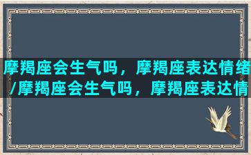 摩羯座会生气吗，摩羯座表达情绪/摩羯座会生气吗，摩羯座表达情绪-我的网站