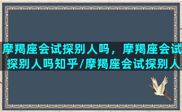 摩羯座会试探别人吗，摩羯座会试探别人吗知乎/摩羯座会试探别人吗，摩羯座会试探别人吗知乎-我的网站