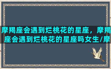 摩羯座会遇到烂桃花的星座，摩羯座会遇到烂桃花的星座吗女生/摩羯座会遇到烂桃花的星座，摩羯座会遇到烂桃花的星座吗女生-我的网站