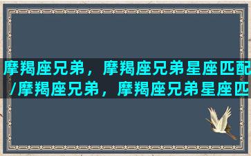 摩羯座兄弟，摩羯座兄弟星座匹配/摩羯座兄弟，摩羯座兄弟星座匹配-我的网站