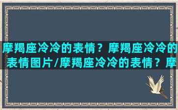 摩羯座冷冷的表情？摩羯座冷冷的表情图片/摩羯座冷冷的表情？摩羯座冷冷的表情图片-我的网站