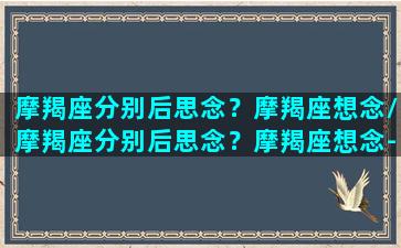 摩羯座分别后思念？摩羯座想念/摩羯座分别后思念？摩羯座想念-我的网站