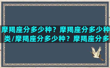 摩羯座分多少种？摩羯座分多少种类/摩羯座分多少种？摩羯座分多少种类-我的网站