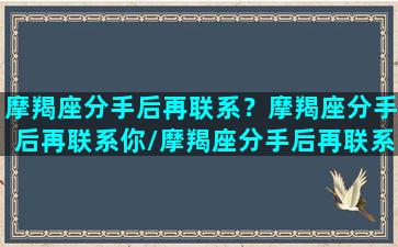 摩羯座分手后再联系？摩羯座分手后再联系你/摩羯座分手后再联系？摩羯座分手后再联系你-我的网站