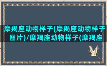 摩羯座动物样子(摩羯座动物样子图片)/摩羯座动物样子(摩羯座动物样子图片)-我的网站