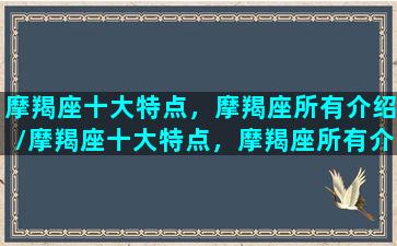 摩羯座十大特点，摩羯座所有介绍/摩羯座十大特点，摩羯座所有介绍-我的网站