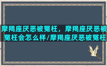 摩羯座厌恶被冤枉，摩羯座厌恶被冤枉会怎么样/摩羯座厌恶被冤枉，摩羯座厌恶被冤枉会怎么样-我的网站