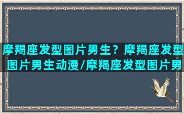 摩羯座发型图片男生？摩羯座发型图片男生动漫/摩羯座发型图片男生？摩羯座发型图片男生动漫-我的网站