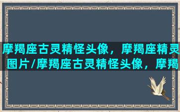 摩羯座古灵精怪头像，摩羯座精灵图片/摩羯座古灵精怪头像，摩羯座精灵图片-我的网站