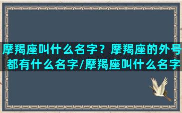 摩羯座叫什么名字？摩羯座的外号都有什么名字/摩羯座叫什么名字？摩羯座的外号都有什么名字-我的网站