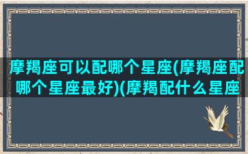 摩羯座可以配哪个星座(摩羯座配哪个星座最好)(摩羯配什么星座最好)