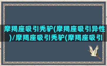 摩羯座吸引秃驴(摩羯座吸引异性)/摩羯座吸引秃驴(摩羯座吸引异性)-我的网站