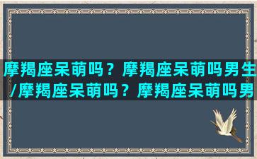 摩羯座呆萌吗？摩羯座呆萌吗男生/摩羯座呆萌吗？摩羯座呆萌吗男生-我的网站