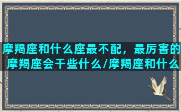 摩羯座和什么座最不配，最厉害的摩羯座会干些什么/摩羯座和什么座最不配，最厉害的摩羯座会干些什么-我的网站