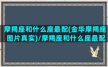 摩羯座和什么座最配(金华摩羯座图片真实)/摩羯座和什么座最配(金华摩羯座图片真实)-我的网站