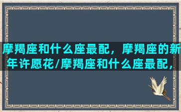 摩羯座和什么座最配，摩羯座的新年许愿花/摩羯座和什么座最配，摩羯座的新年许愿花-我的网站