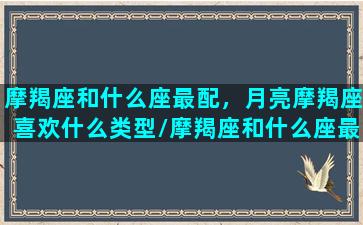 摩羯座和什么座最配，月亮摩羯座喜欢什么类型/摩羯座和什么座最配，月亮摩羯座喜欢什么类型-我的网站