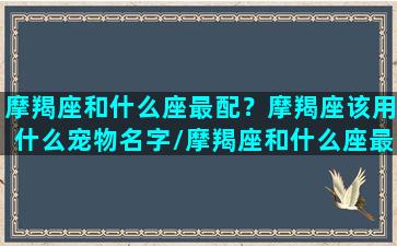 摩羯座和什么座最配？摩羯座该用什么宠物名字/摩羯座和什么座最配？摩羯座该用什么宠物名字-我的网站