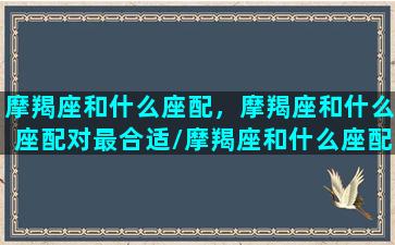 摩羯座和什么座配，摩羯座和什么座配对最合适/摩羯座和什么座配，摩羯座和什么座配对最合适-我的网站