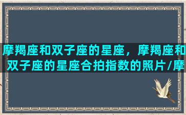 摩羯座和双子座的星座，摩羯座和双子座的星座合拍指数的照片/摩羯座和双子座的星座，摩羯座和双子座的星座合拍指数的照片-我的网站