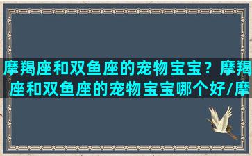 摩羯座和双鱼座的宠物宝宝？摩羯座和双鱼座的宠物宝宝哪个好/摩羯座和双鱼座的宠物宝宝？摩羯座和双鱼座的宠物宝宝哪个好-我的网站