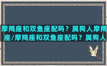 摩羯座和双鱼座配吗？属狗人摩羯座/摩羯座和双鱼座配吗？属狗人摩羯座-我的网站