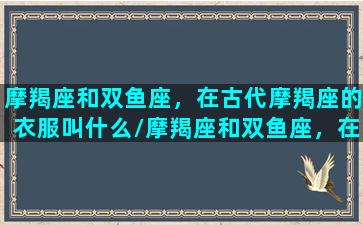 摩羯座和双鱼座，在古代摩羯座的衣服叫什么/摩羯座和双鱼座，在古代摩羯座的衣服叫什么-我的网站