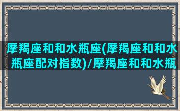 摩羯座和和水瓶座(摩羯座和和水瓶座配对指数)/摩羯座和和水瓶座(摩羯座和和水瓶座配对指数)-我的网站