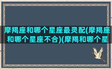 摩羯座和哪个星座最灵配(摩羯座和哪个星座不合)(摩羯和哪个星座最配对)