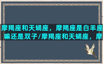 摩羯座和天蝎座，摩羯座是白羊座嘛还是双子/摩羯座和天蝎座，摩羯座是白羊座嘛还是双子-我的网站