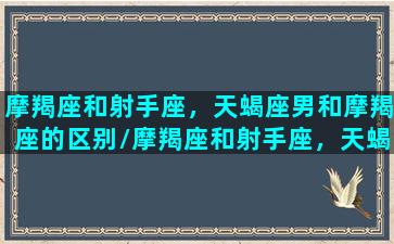 摩羯座和射手座，天蝎座男和摩羯座的区别/摩羯座和射手座，天蝎座男和摩羯座的区别-我的网站