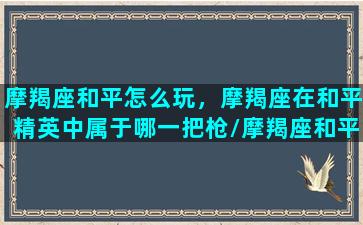 摩羯座和平怎么玩，摩羯座在和平精英中属于哪一把枪/摩羯座和平怎么玩，摩羯座在和平精英中属于哪一把枪-我的网站