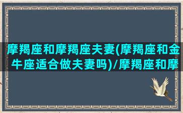 摩羯座和摩羯座夫妻(摩羯座和金牛座适合做夫妻吗)/摩羯座和摩羯座夫妻(摩羯座和金牛座适合做夫妻吗)-我的网站